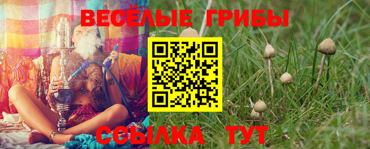Подольск  Псилоцибиновые грибы MAGIC MUSHROOMS  Псилоцибиновые грибы мухоморы  Вход с VPN 