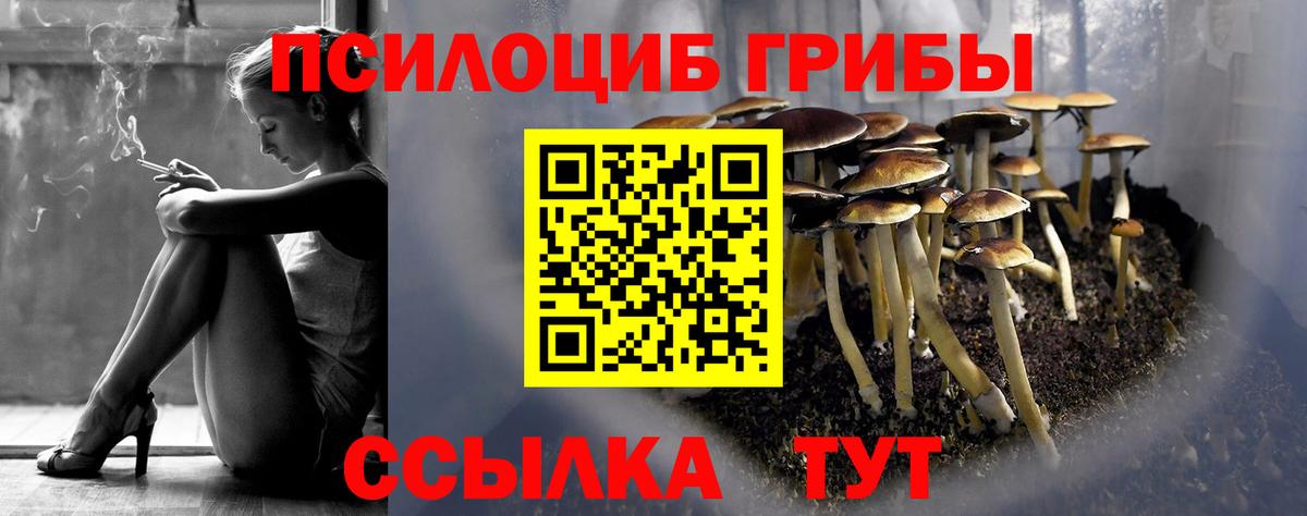 Галлюциногенные грибы Cubensis Подольск